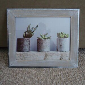 Succulent Framed Print Picture 17.5" x 14.5"